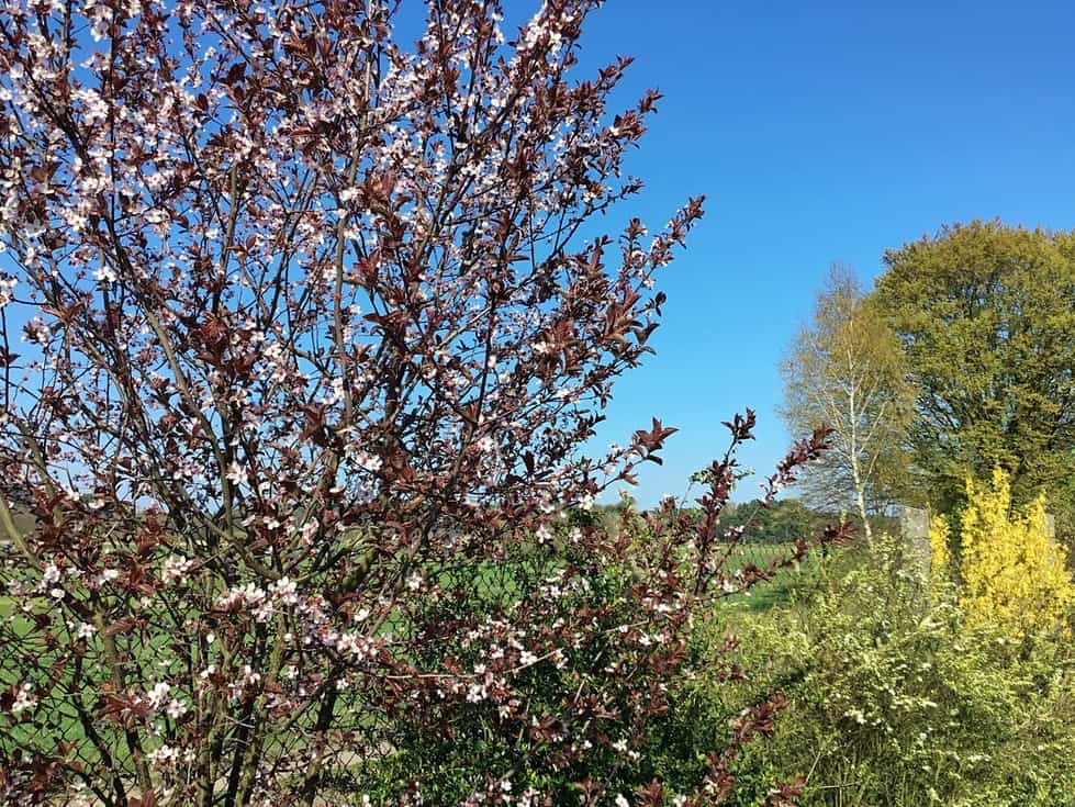 Frühling spüren